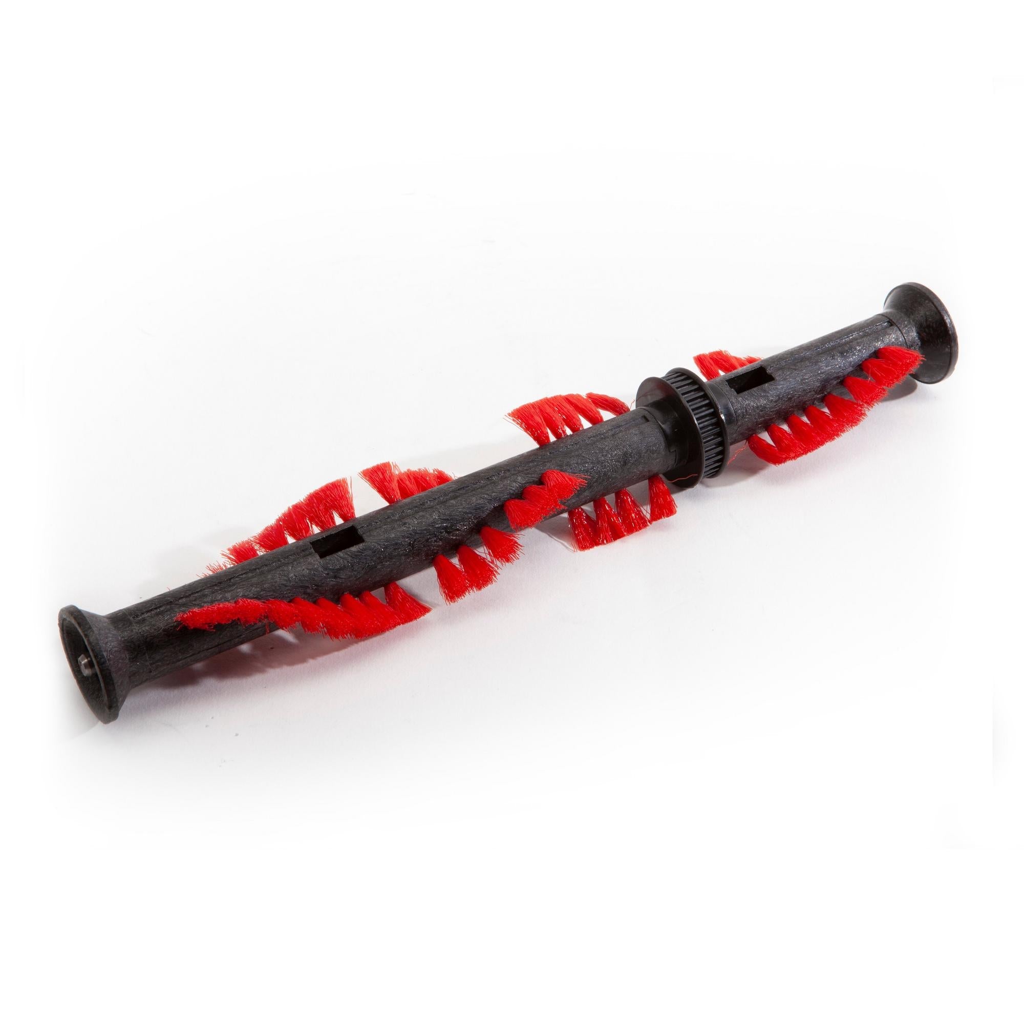 Cyclonic Canister Brushroll Assembly